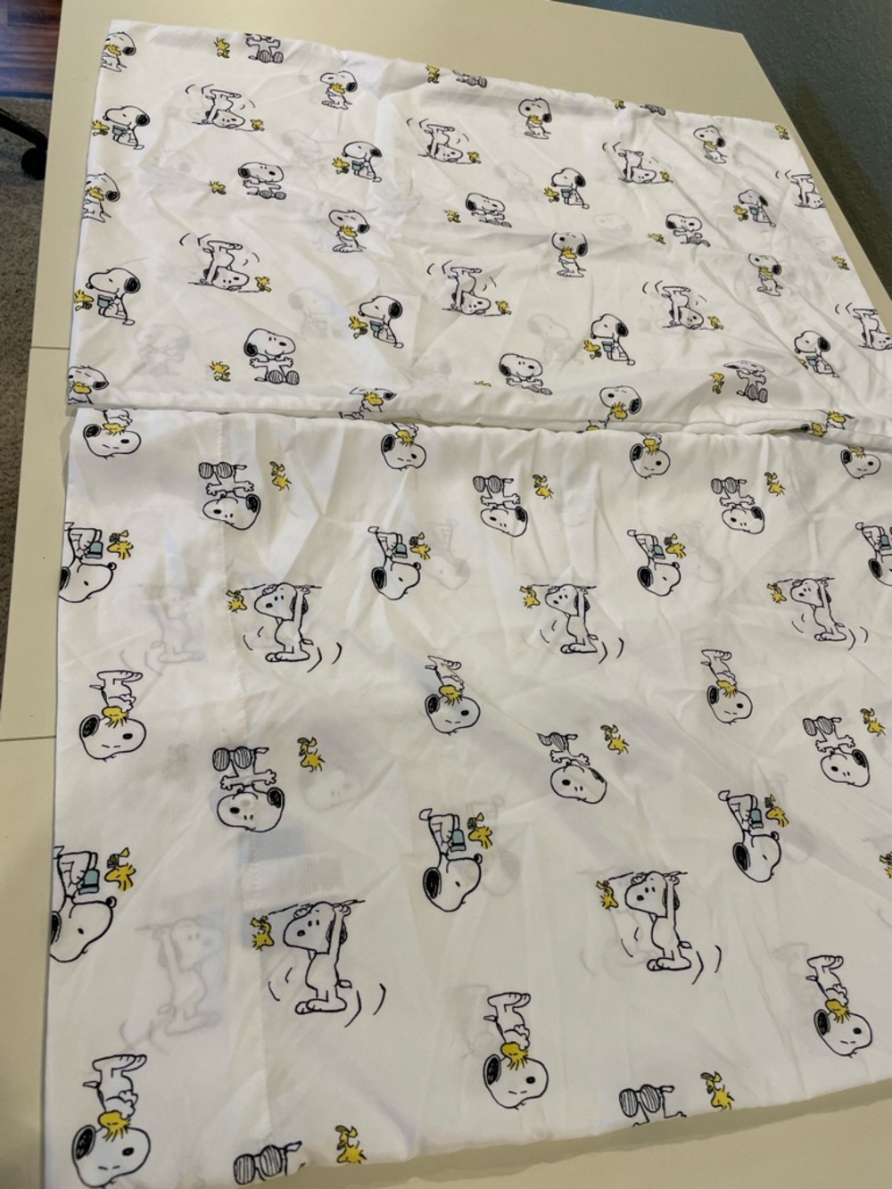2 Peanuts Pillow Cases Snoopy and Woodstock